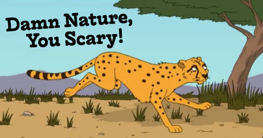 Damn Nature, You Scary!